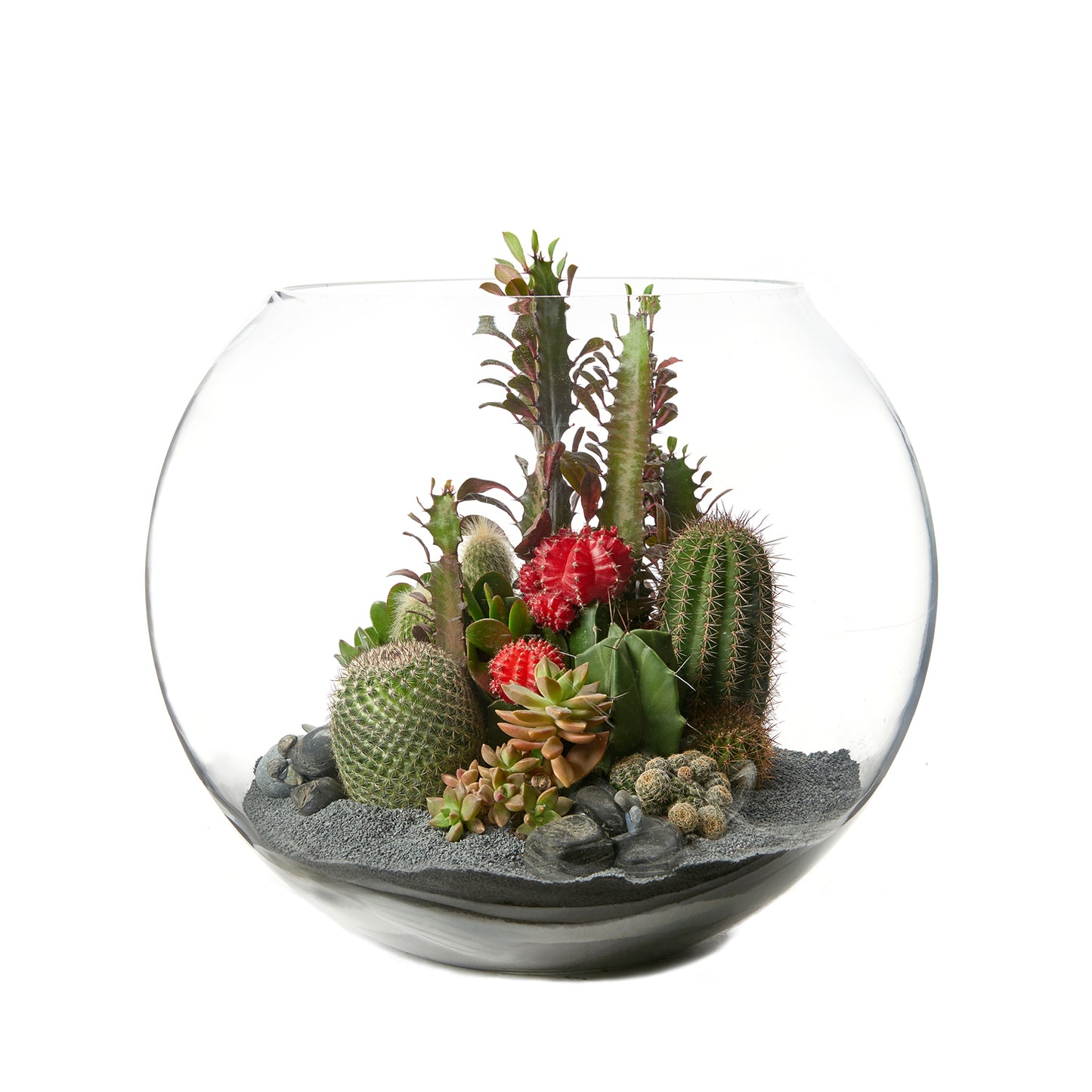 Fishbowl Glass Terrarium - Black