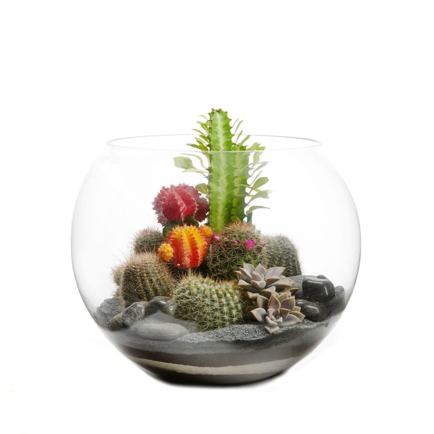 Fishbowl Glass Terrarium - Black