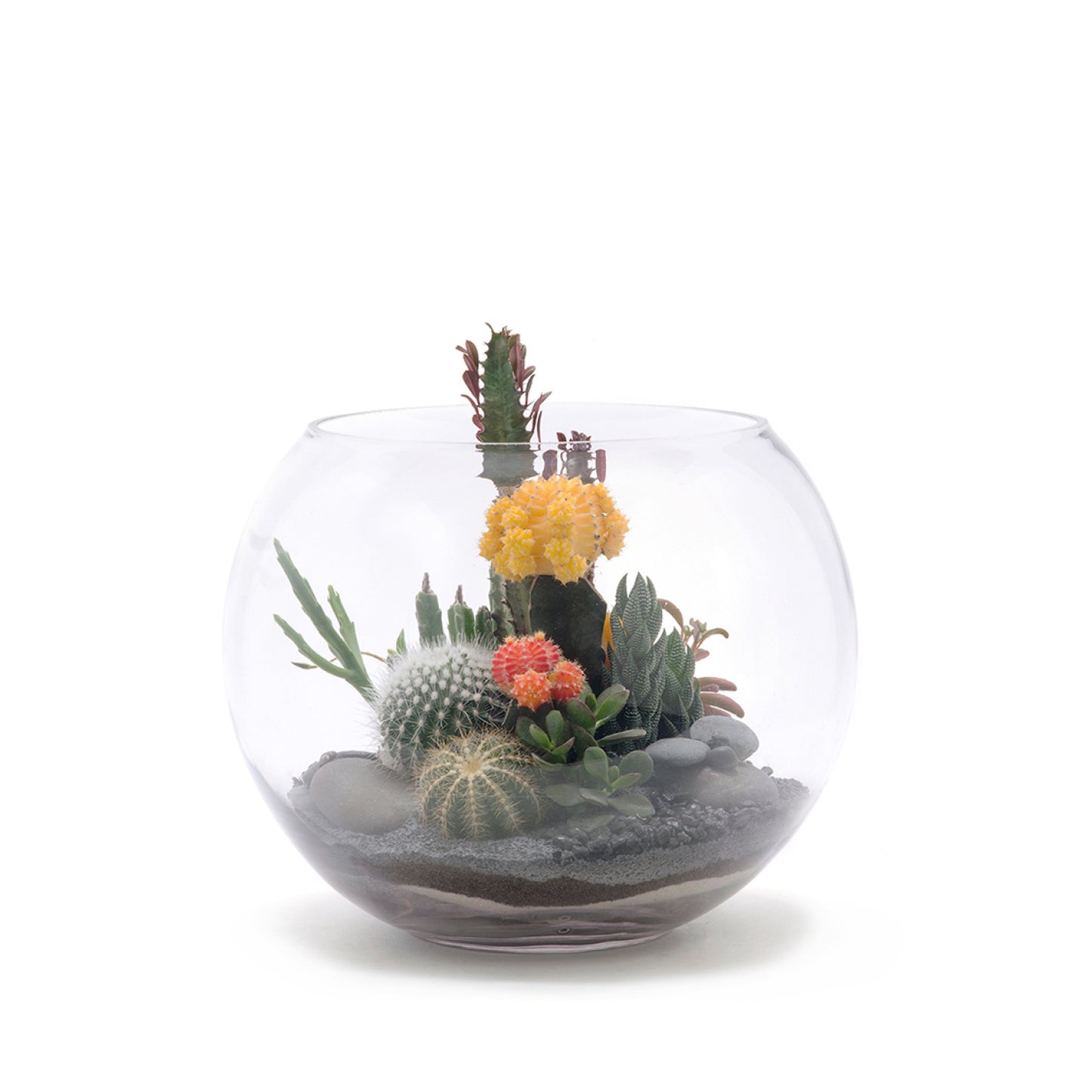 Fishbowl Glass Terrarium - Black