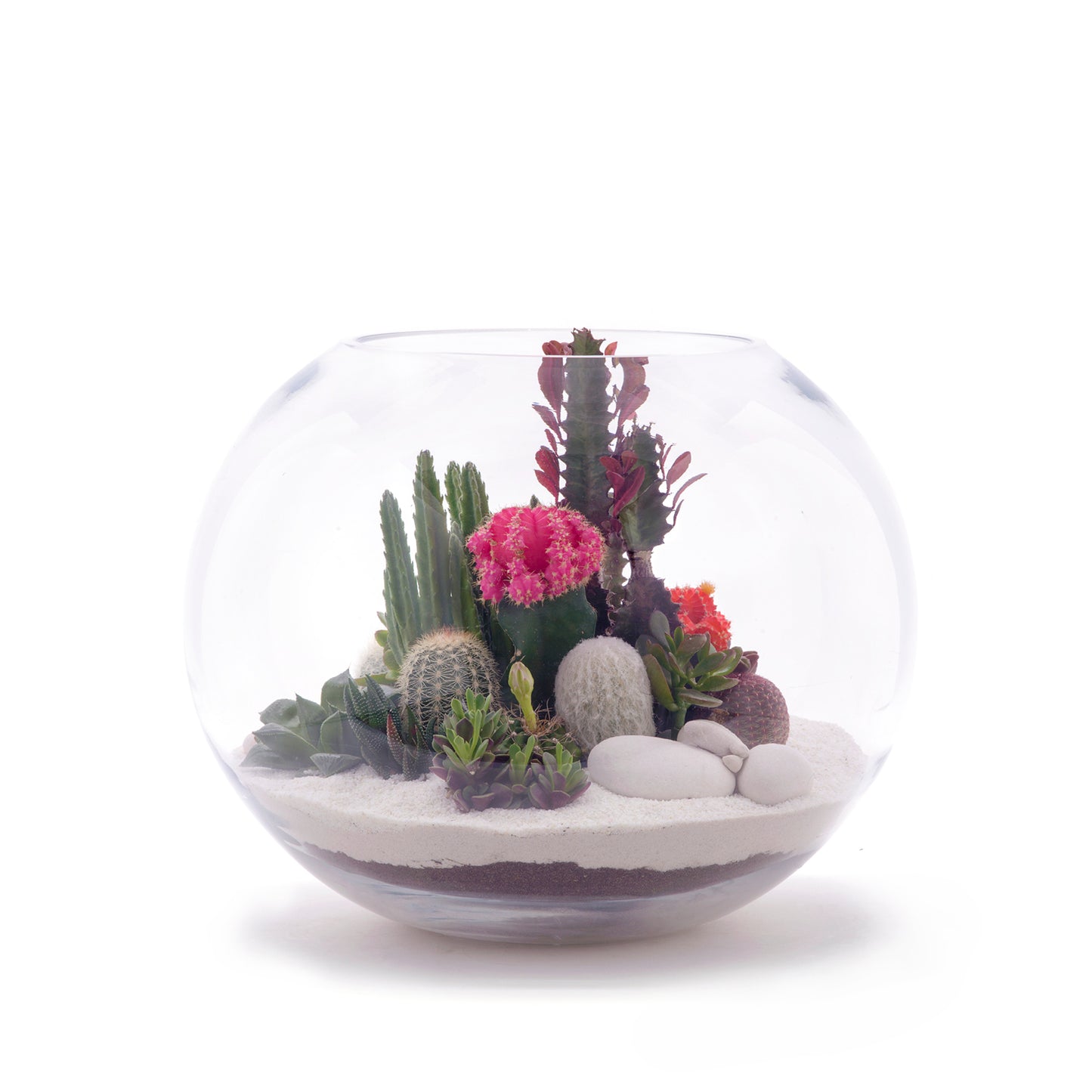 Fishbowl Glass Terrarium - White