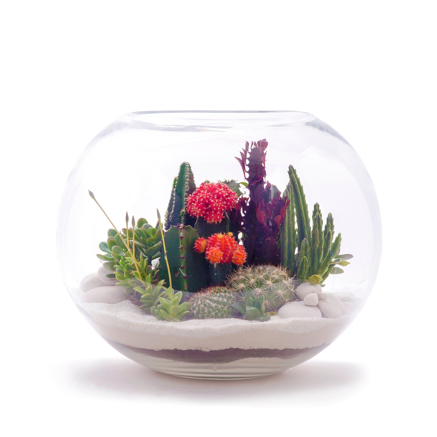 Fishbowl Glass Terrarium - White