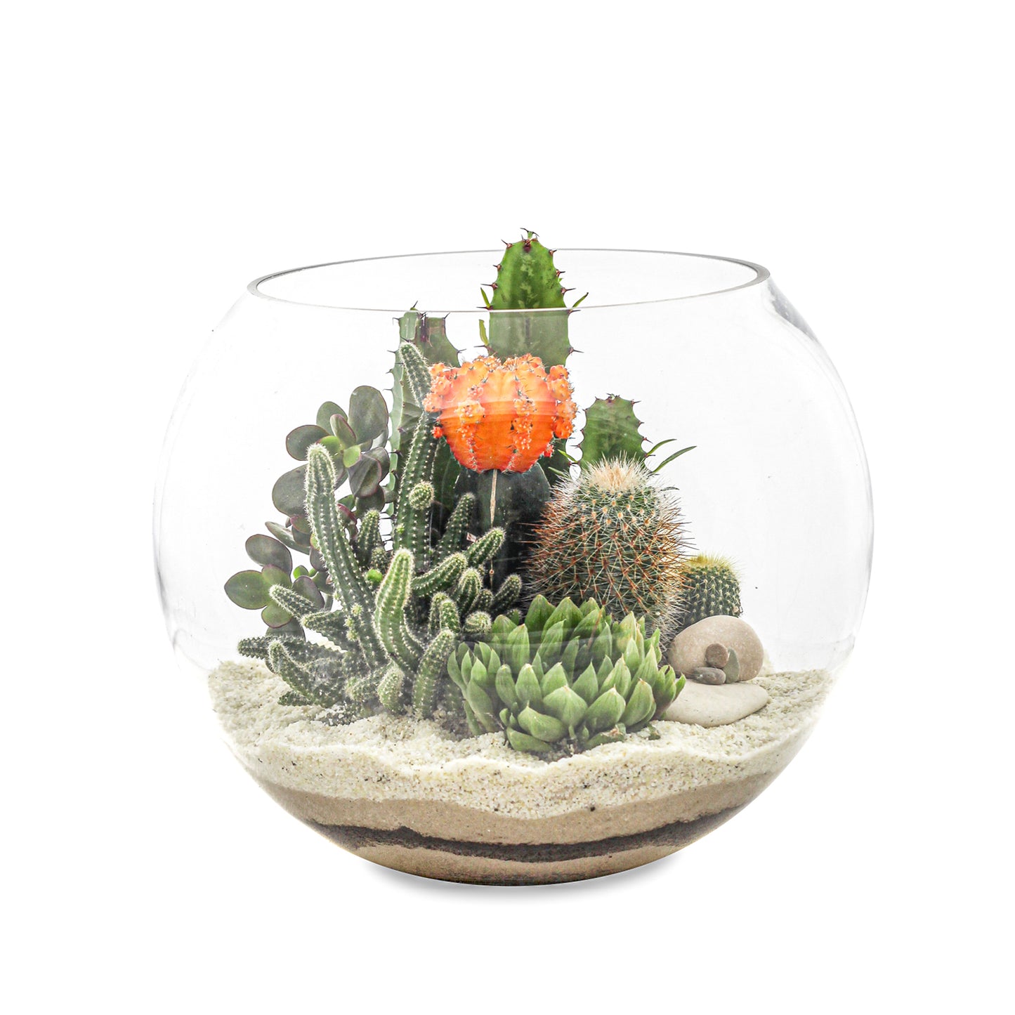 Fishbowl Glass Terrarium - White