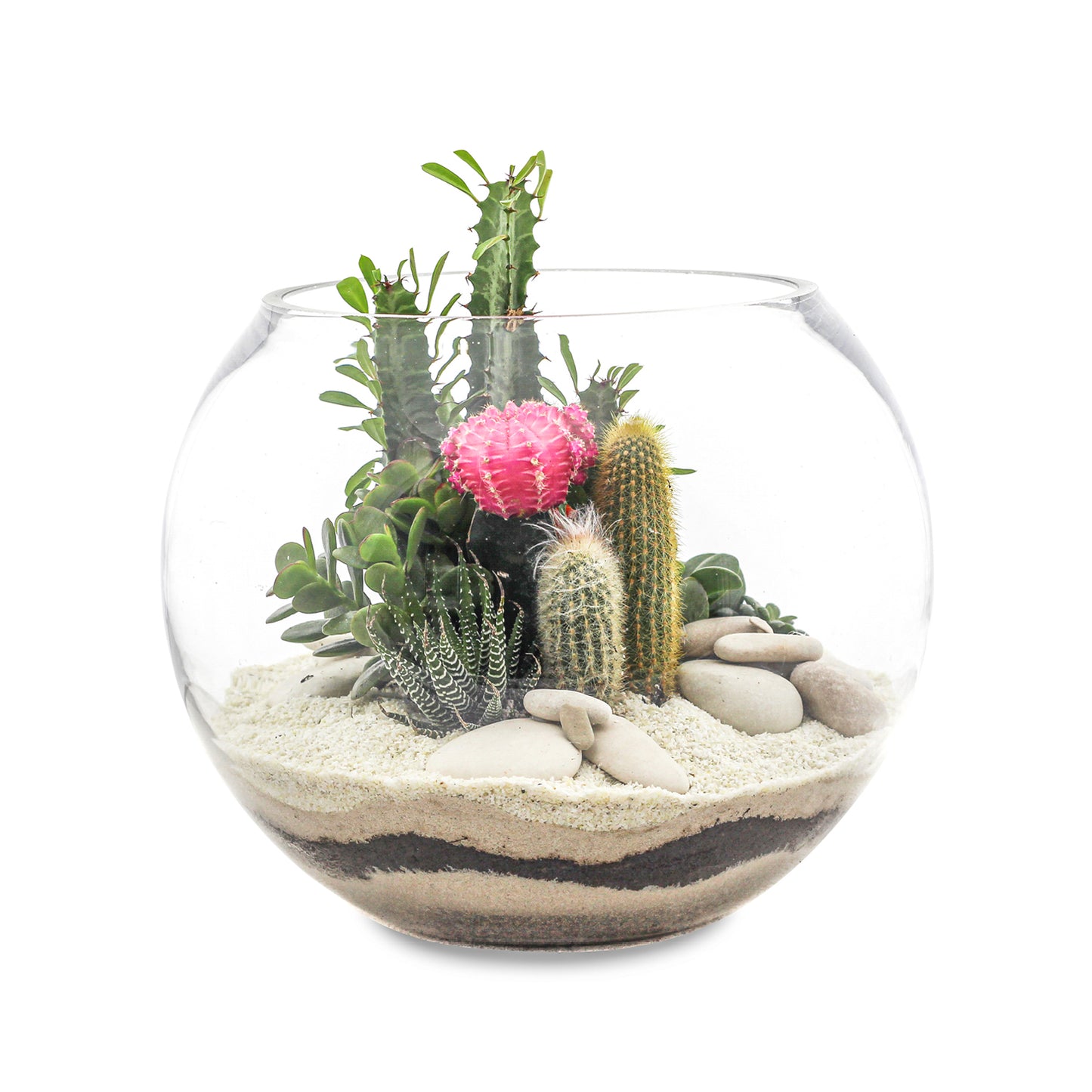 Fishbowl Glass Terrarium - White