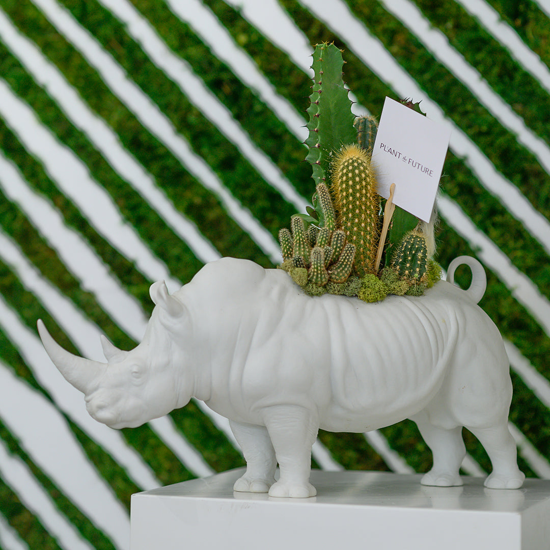 Lladró Porcelain - Rhino