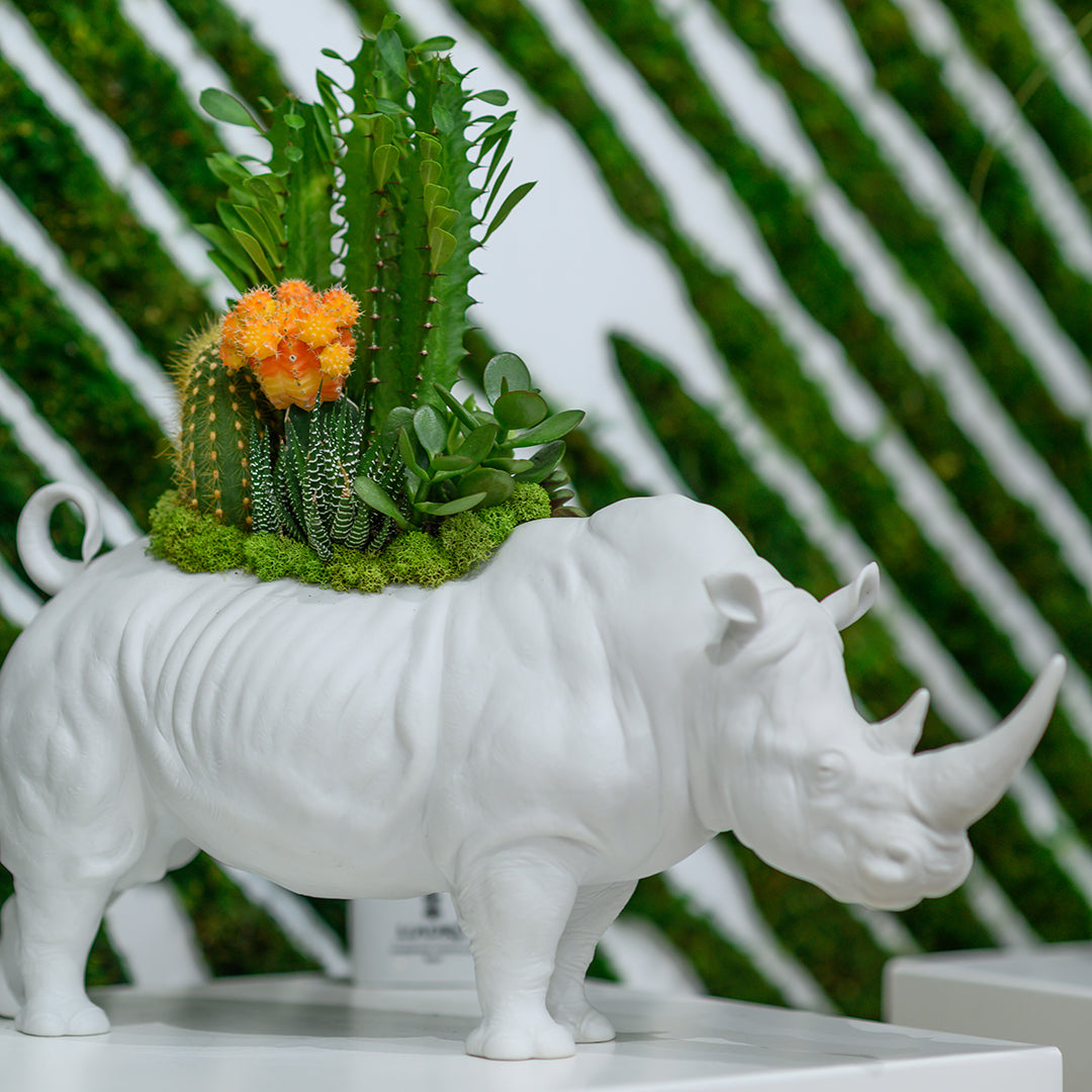 Lladró Porcelain - Rhino