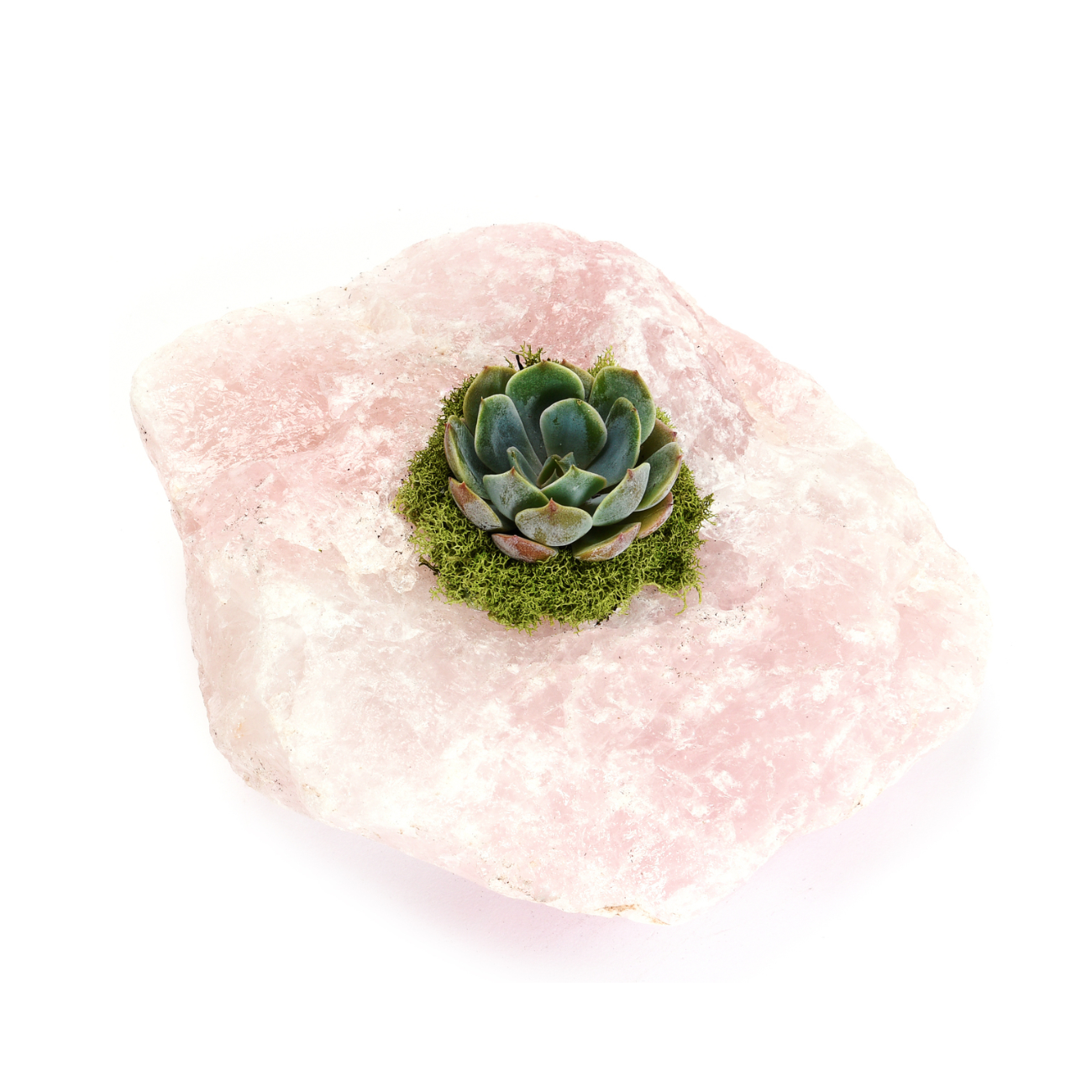 Rose Quartz with Succulent (5" H x 5" W)