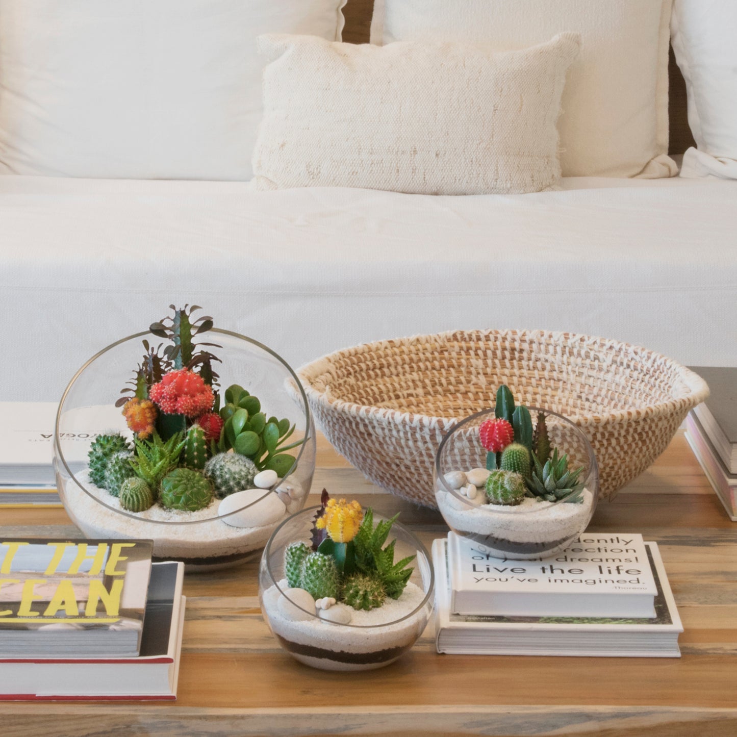 Half Moon Glass Terrarium - White