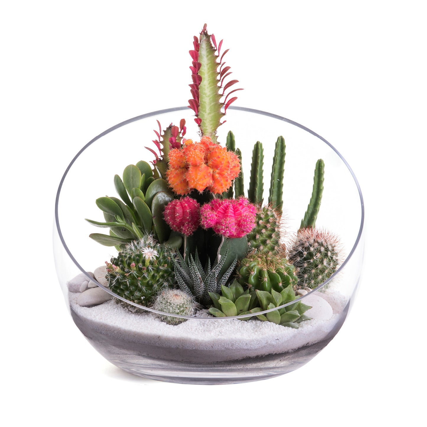 Half Moon Glass Terrarium - White
