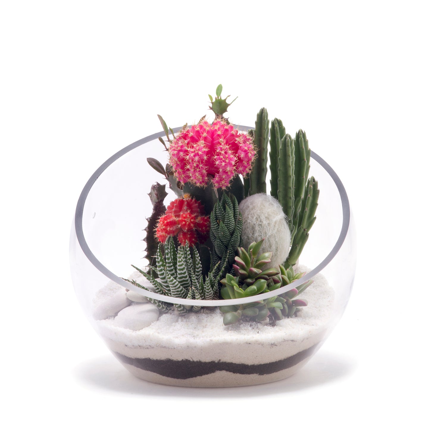 Half Moon Glass Terrarium - White