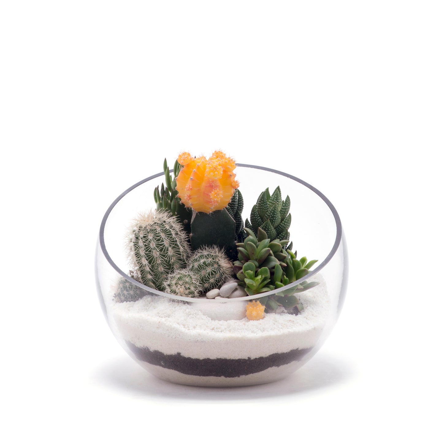 Half Moon Glass Terrarium - White