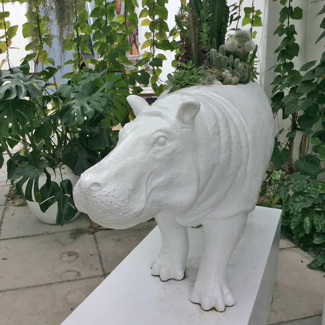Life Size Animal - Hippo