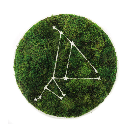 Zodiac Collection - Moss Constellations
