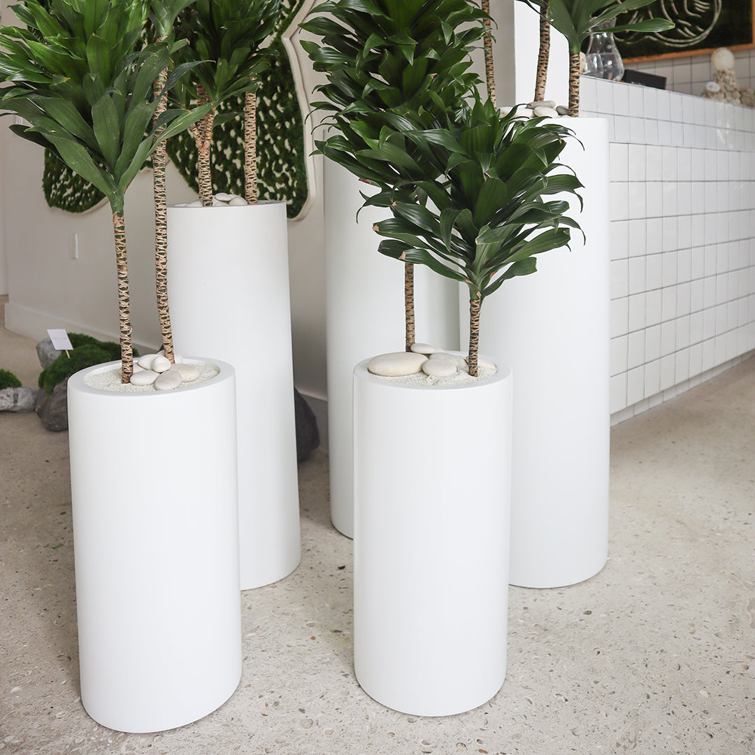 Milano Tube White – Janet Craig (Set of 2) Plant the Future