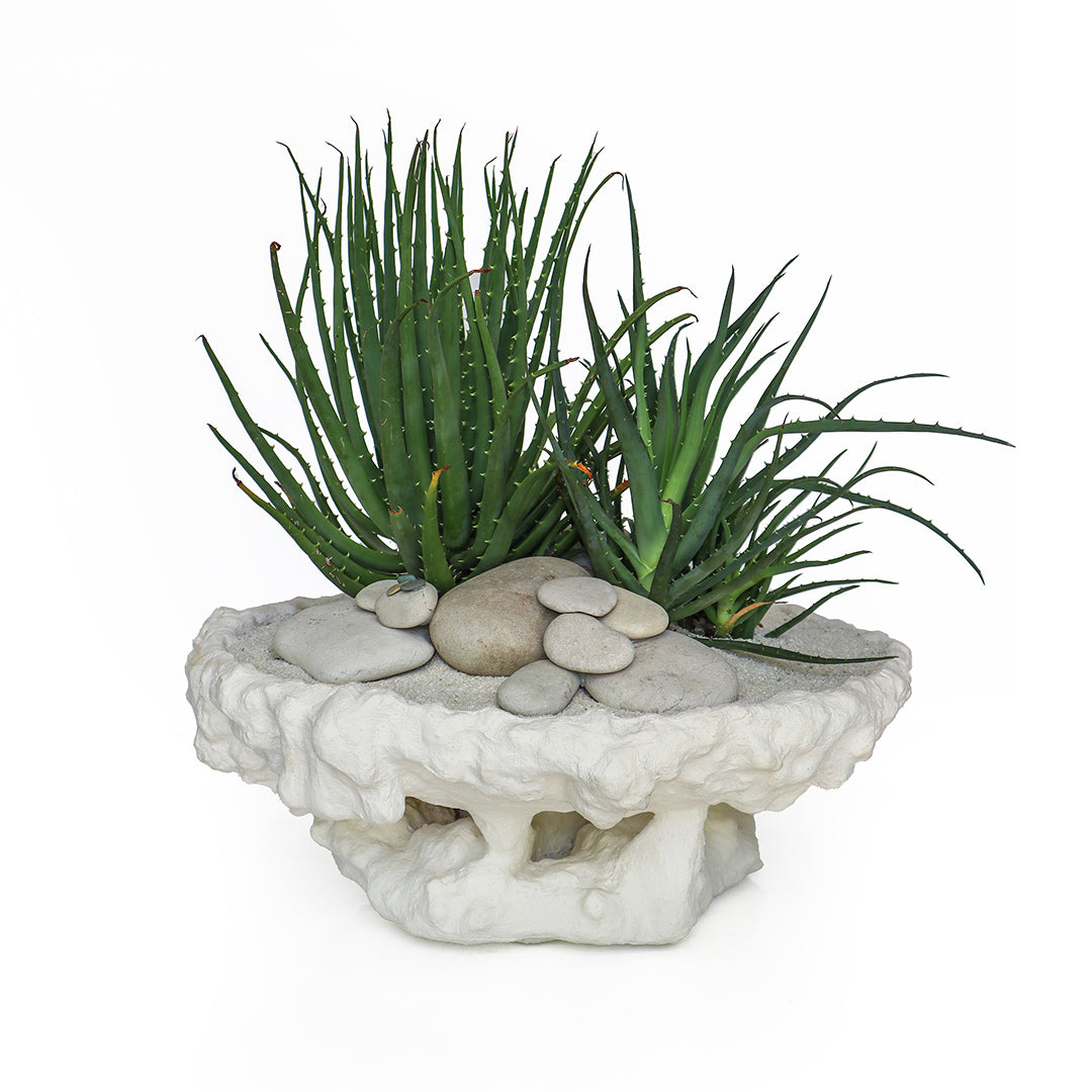 Julieta Teppa - One of a Kind White No.11 Round - Aloe Vera