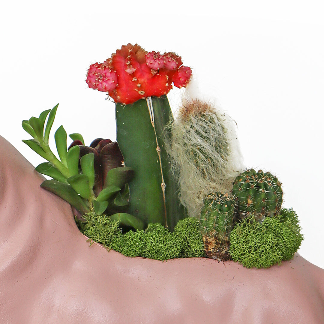 Julieta Teppa One of a Kind - Pink Tulip Garden
