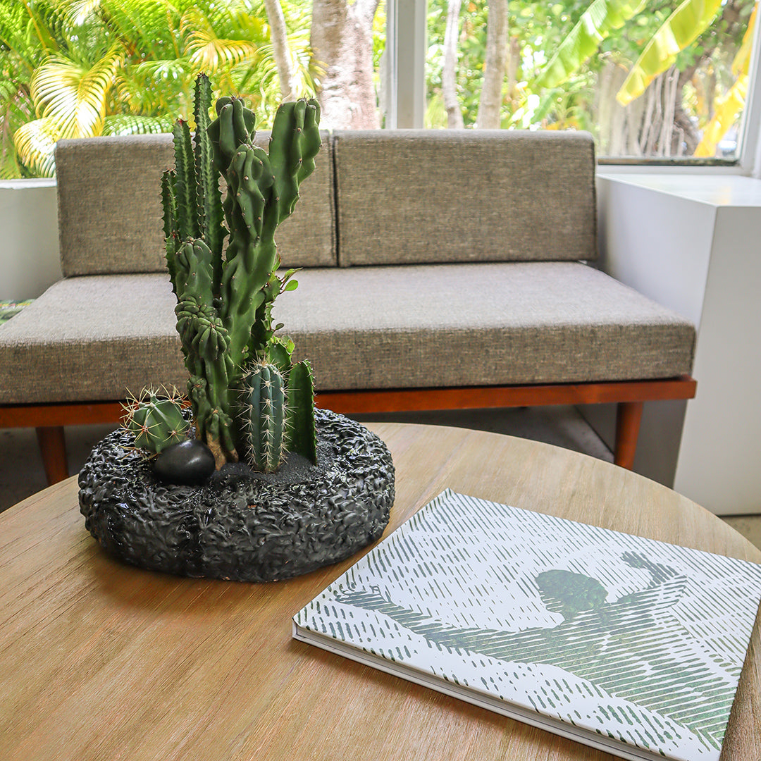 Ceramic Circle Black Cactus Garden