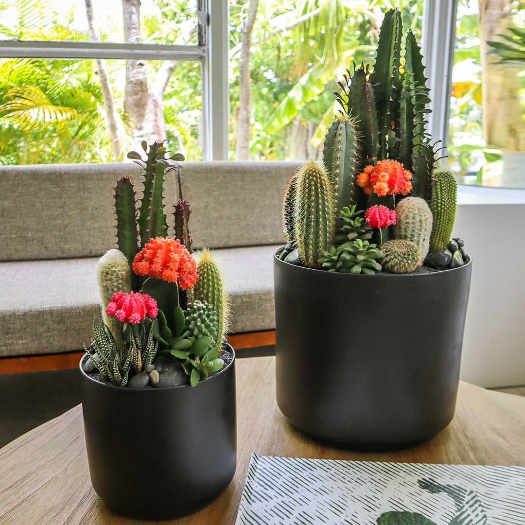 Ceramic Round Black - Rainbow Garden