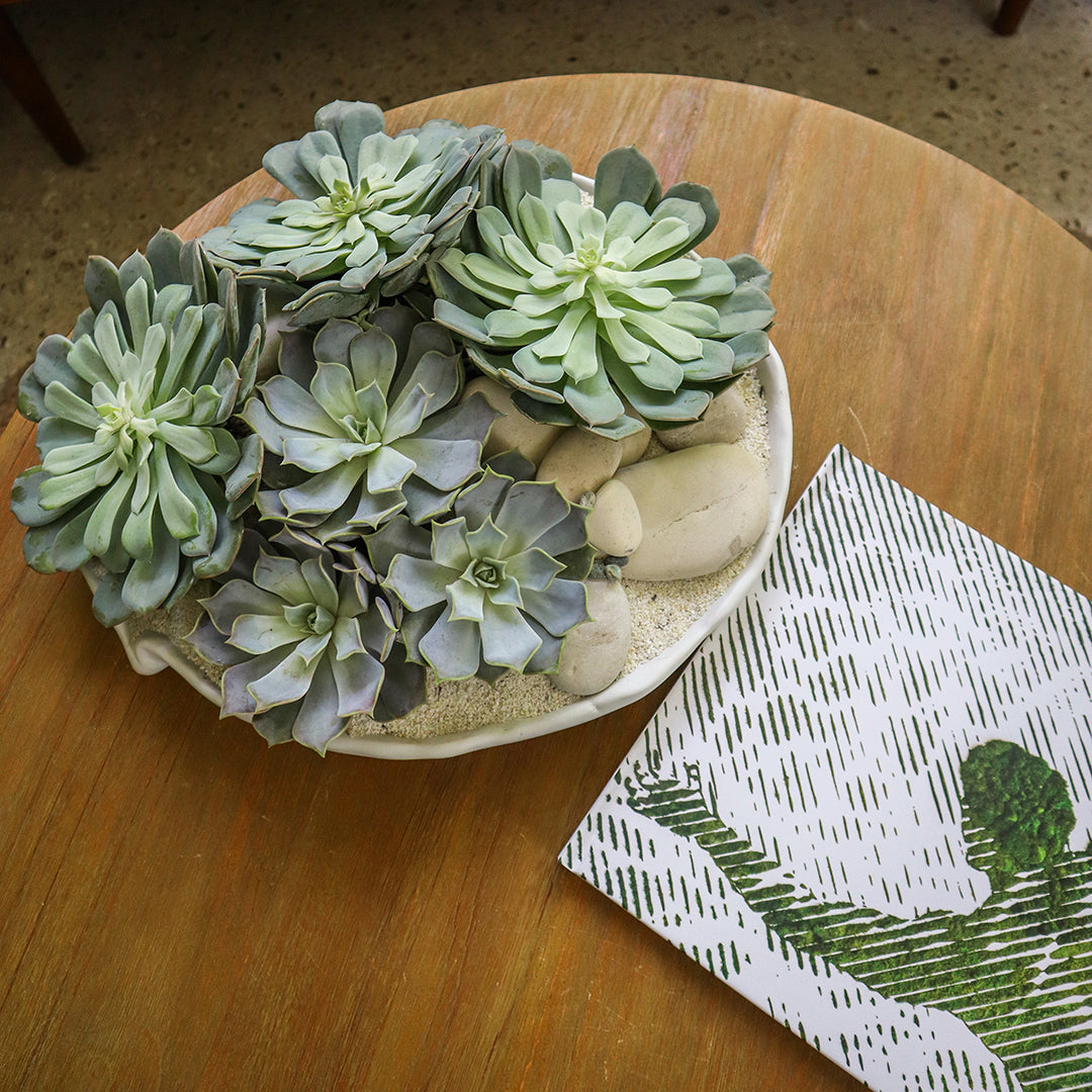 Ceramic Petale Bowl - Succulents