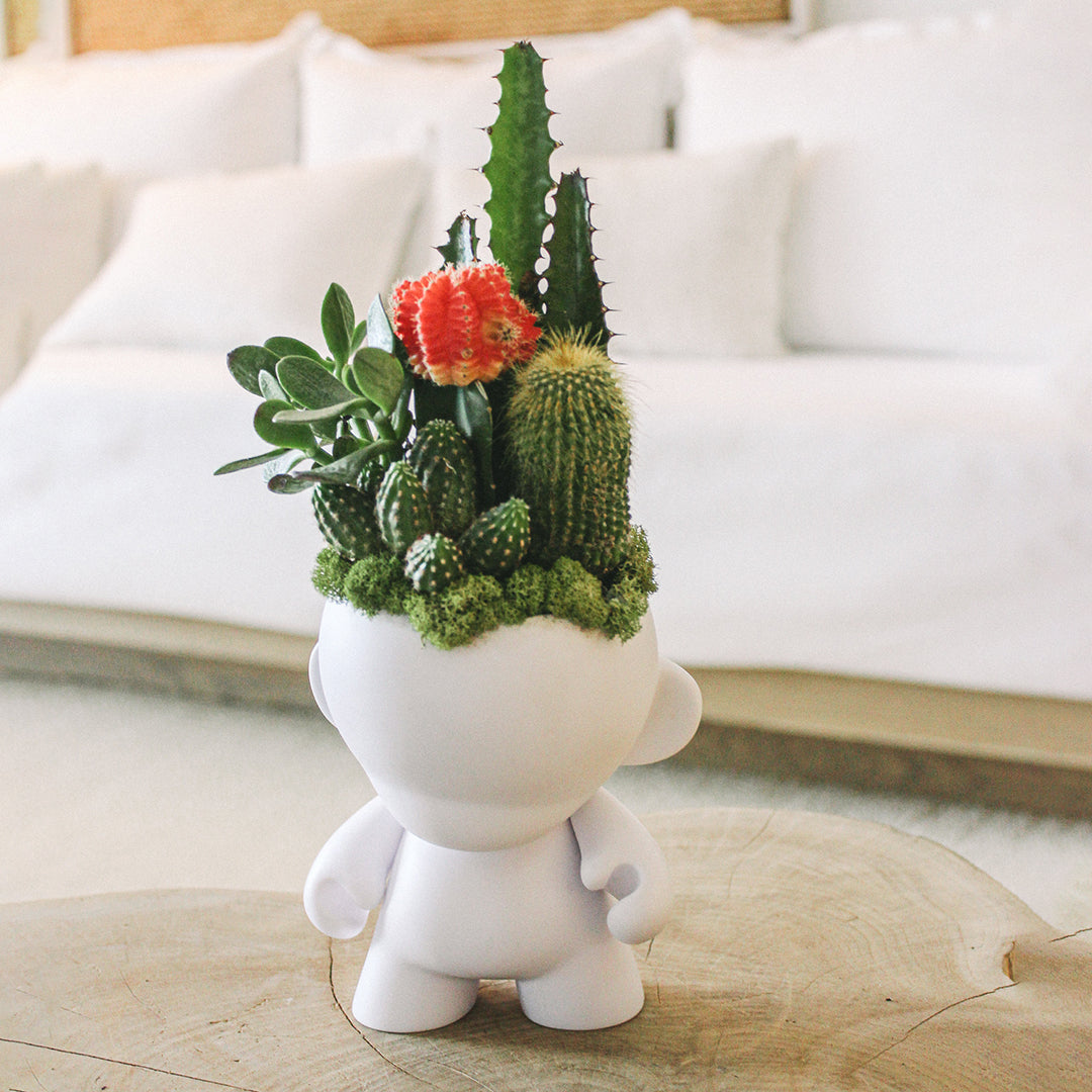 Munny Small Garden