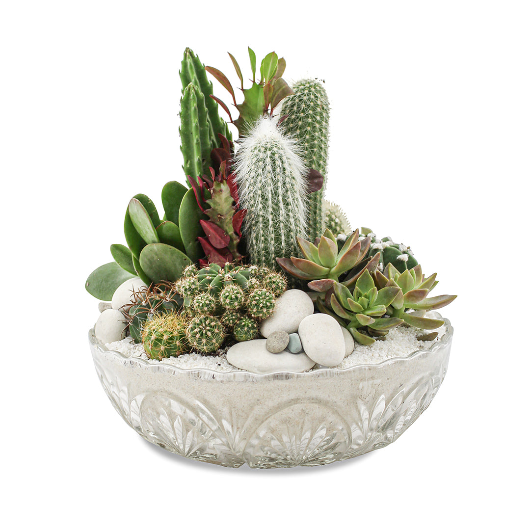 Vintage Clear Glass White - Green Garden (One-of-a-Kind)
