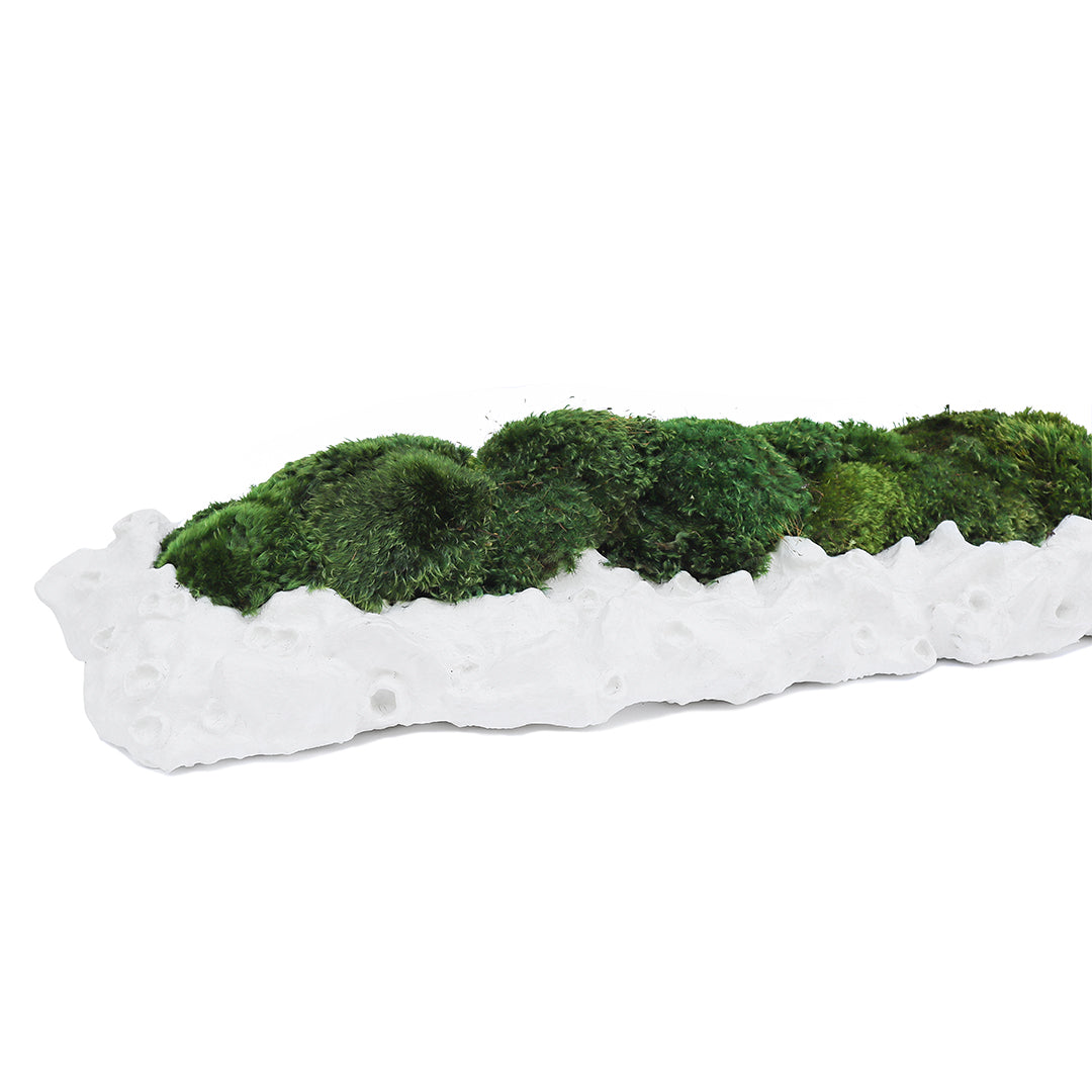 Julieta Teppa - One of a Kind White No.8 Trough Moss