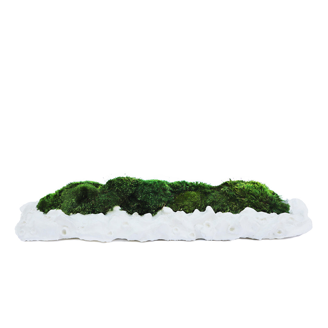 Julieta Teppa - One of a Kind White No.8 Trough Moss