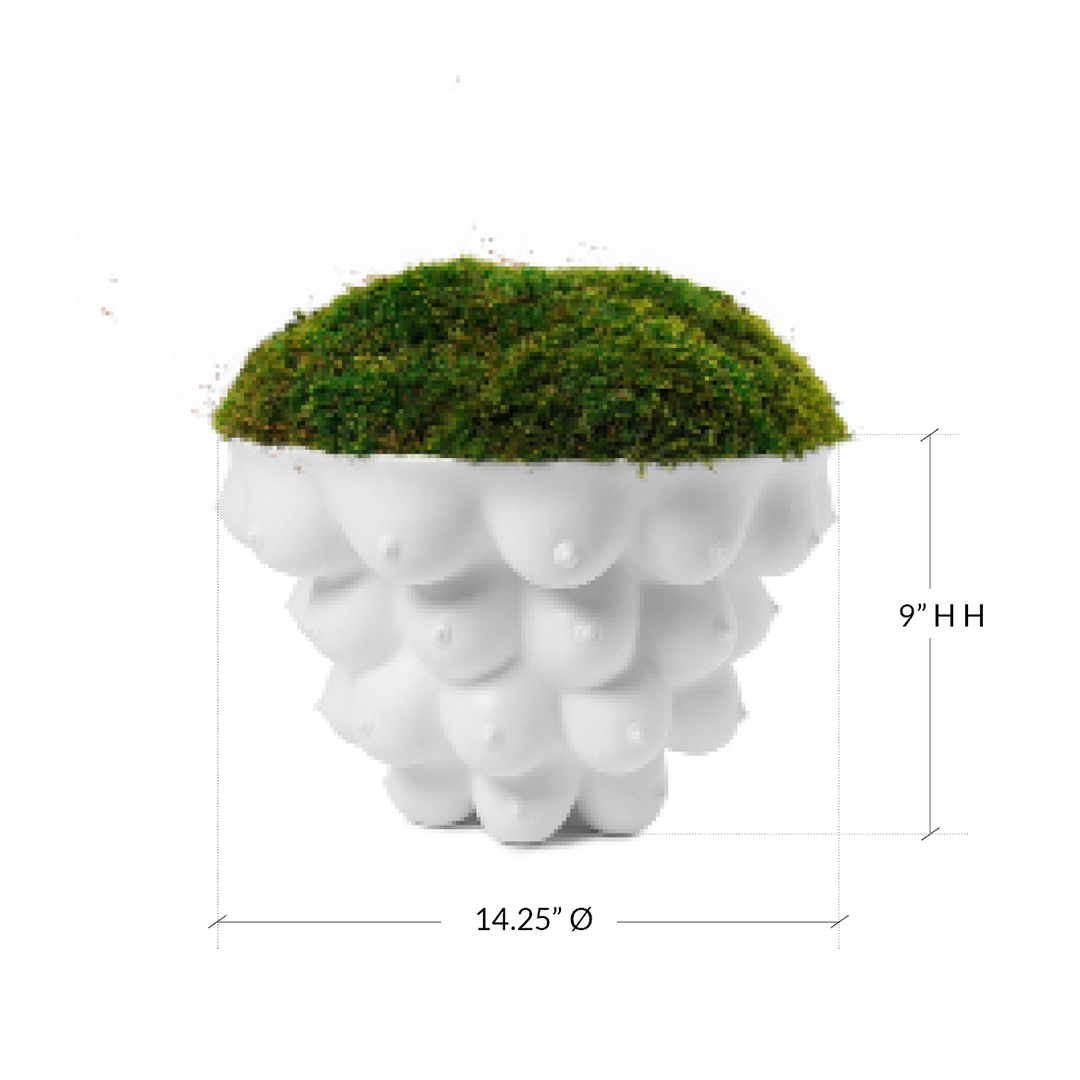Jonathan Adler - Georgia Centerpiece Bowl