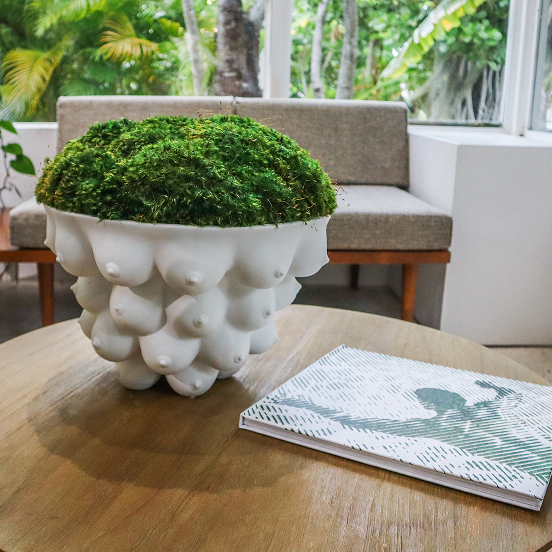 Jonathan Adler - Georgia Centerpiece Bowl