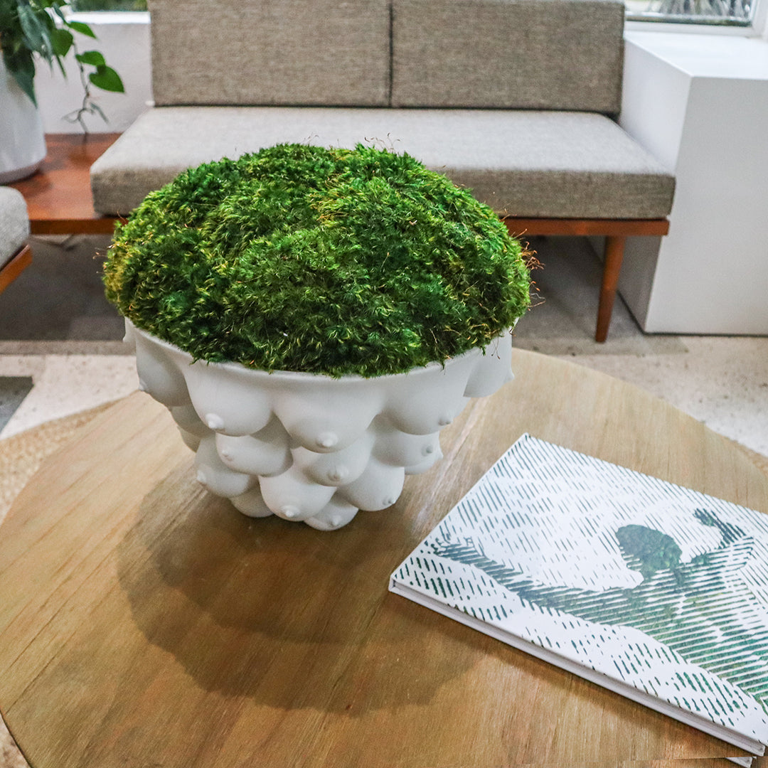 Jonathan Adler - Georgia Centerpiece Bowl