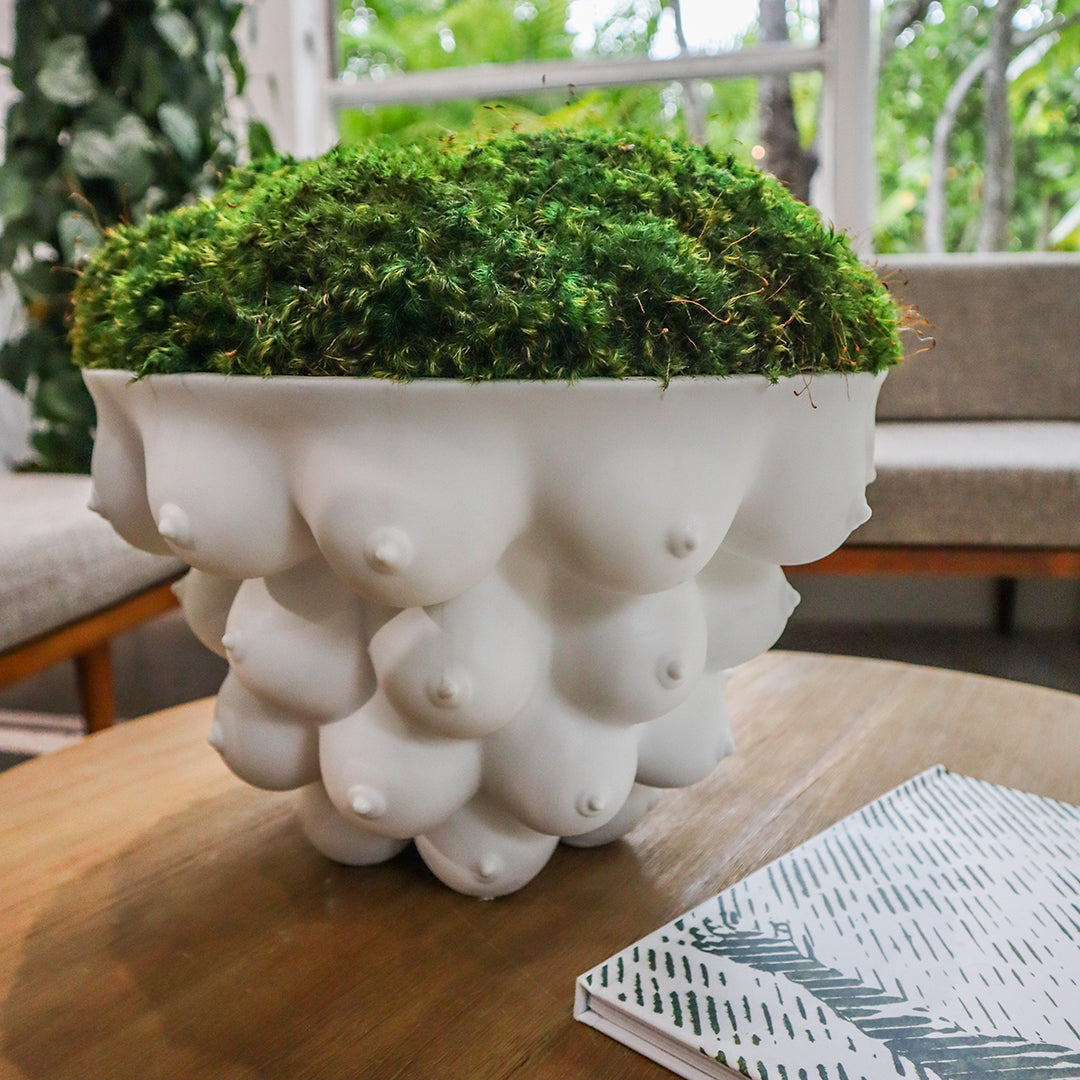 Jonathan Adler - Georgia Centerpiece Bowl