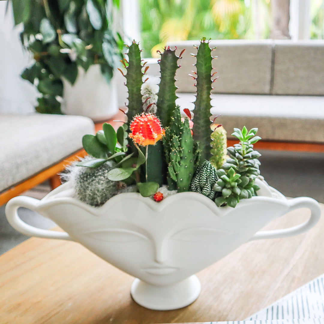 Jonathan Adler Porcelain- Giuliette Small Urn Garden
