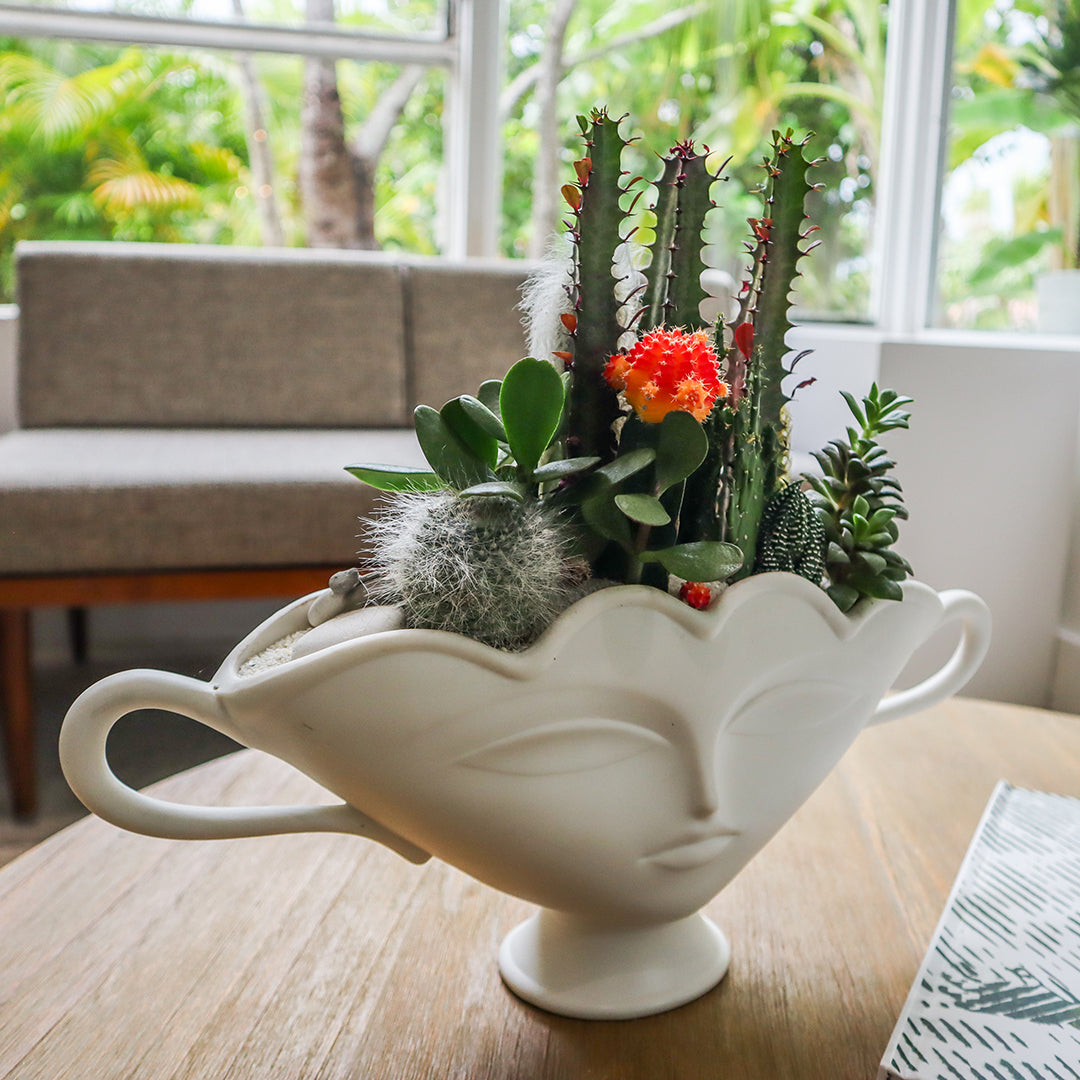 Jonathan Adler Porcelain- Giuliette Small Urn Garden