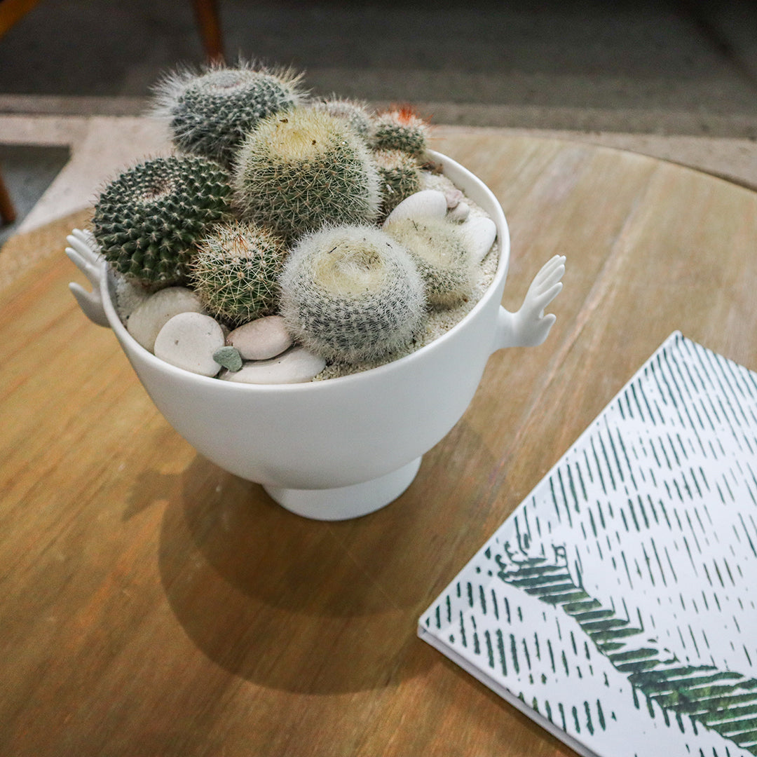 Jonathan Adler Porcelain - Eve Pedestal Bowl