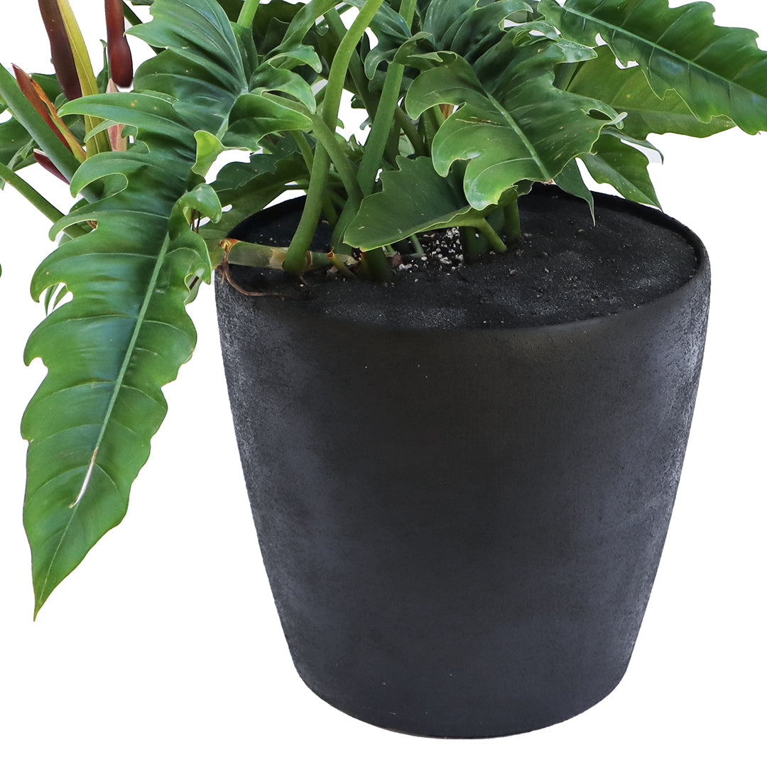 Julieta Teppa - One of a Kind Black No.6 - Philo Narrow