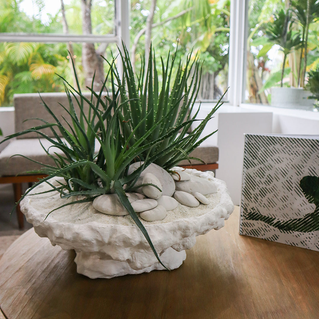Julieta Teppa - One of a Kind White No.11 Round - Aloe Vera
