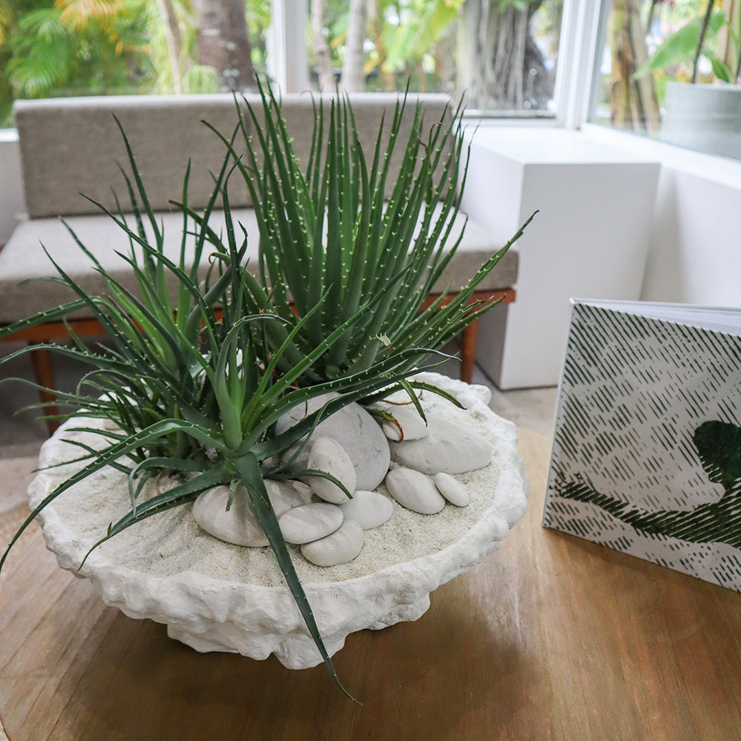Julieta Teppa - One of a Kind White No.11 Round - Aloe Vera