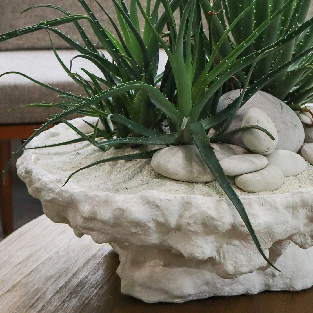 Julieta Teppa - One of a Kind White No.11 Round - Aloe Vera