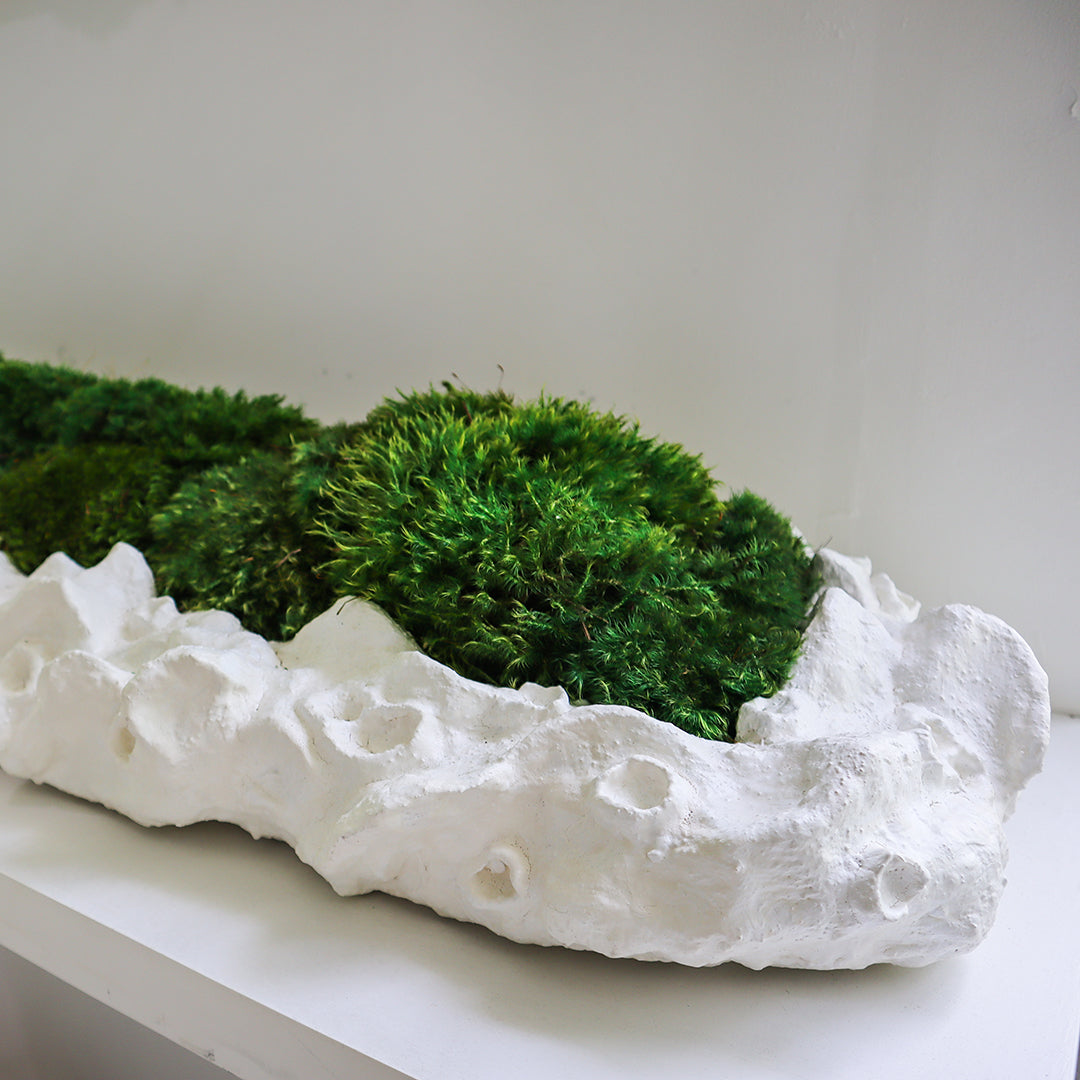 Julieta Teppa - One of a Kind White No.8 Trough Moss