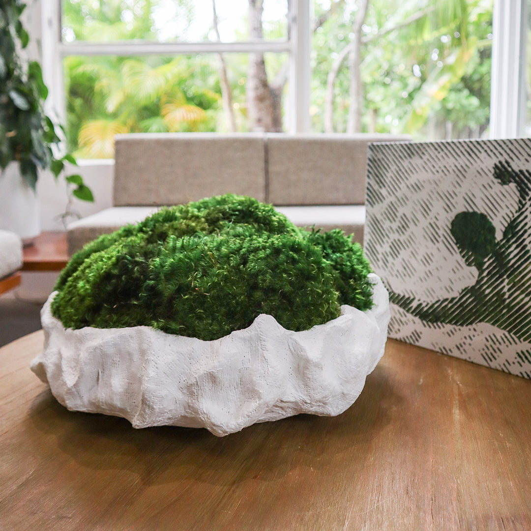 Julieta Teppa - One of a Kind White No.9 Round Moss 15"