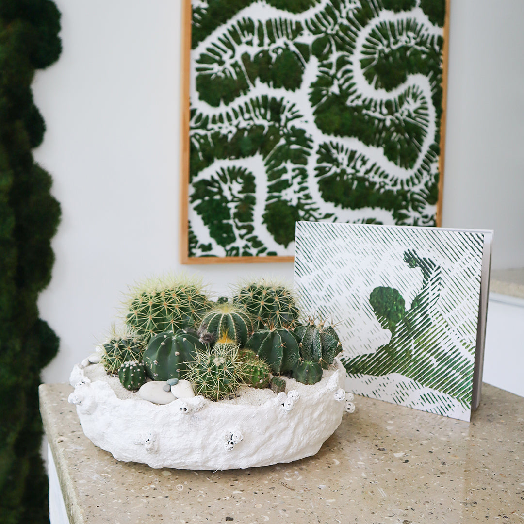Julieta Teppa - One of a Kind White No.1 Cactus 15"