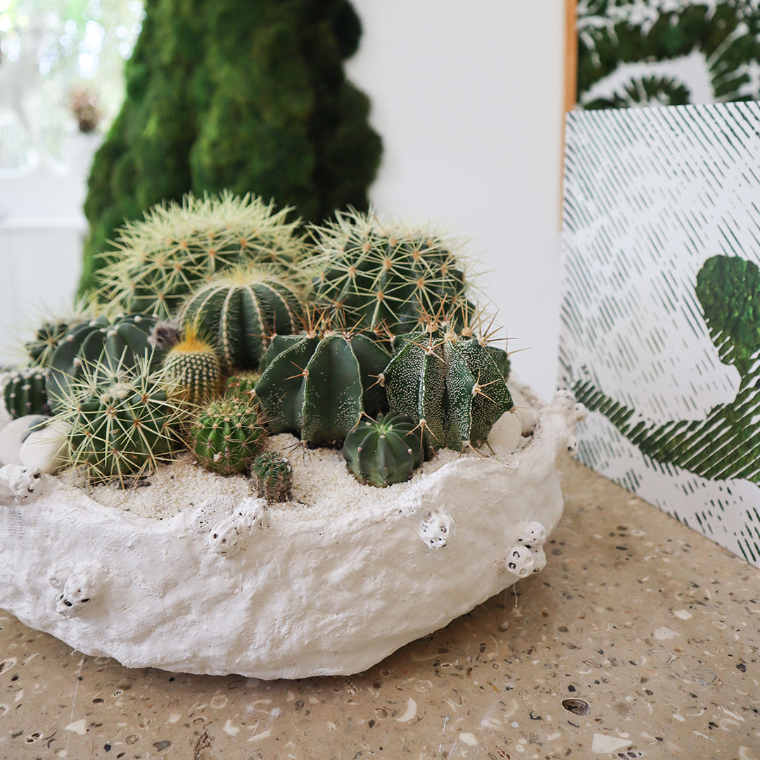 Julieta Teppa - One of a Kind White No.1 Cactus 15"