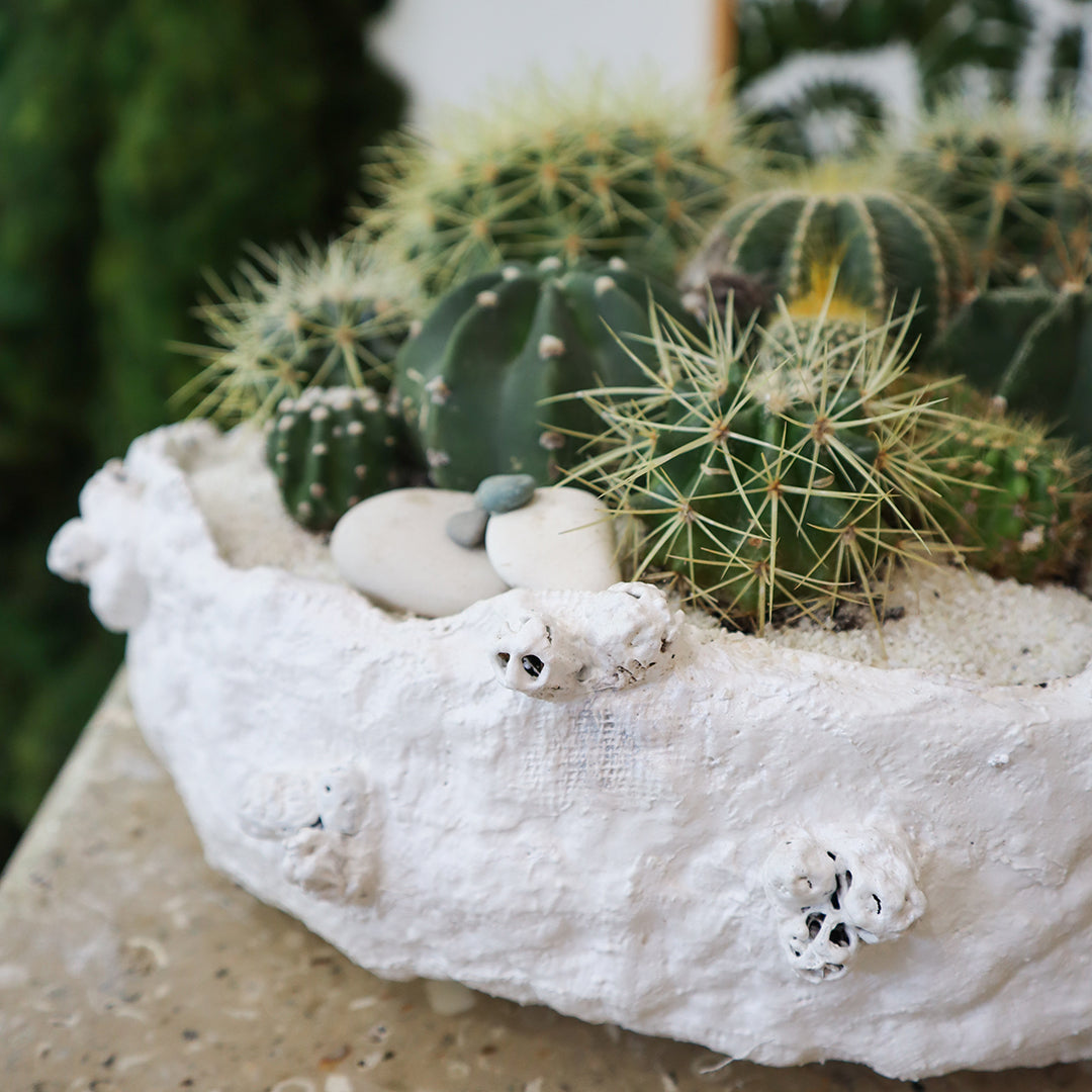 Julieta Teppa - One of a Kind White No.1 Cactus 15"