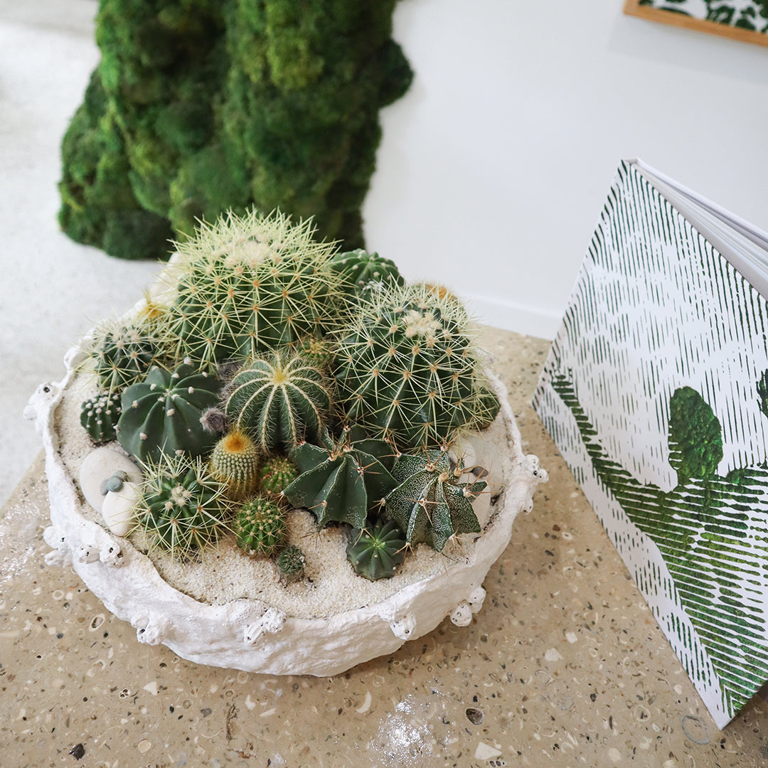 Julieta Teppa - One of a Kind White No.1 Cactus 15"