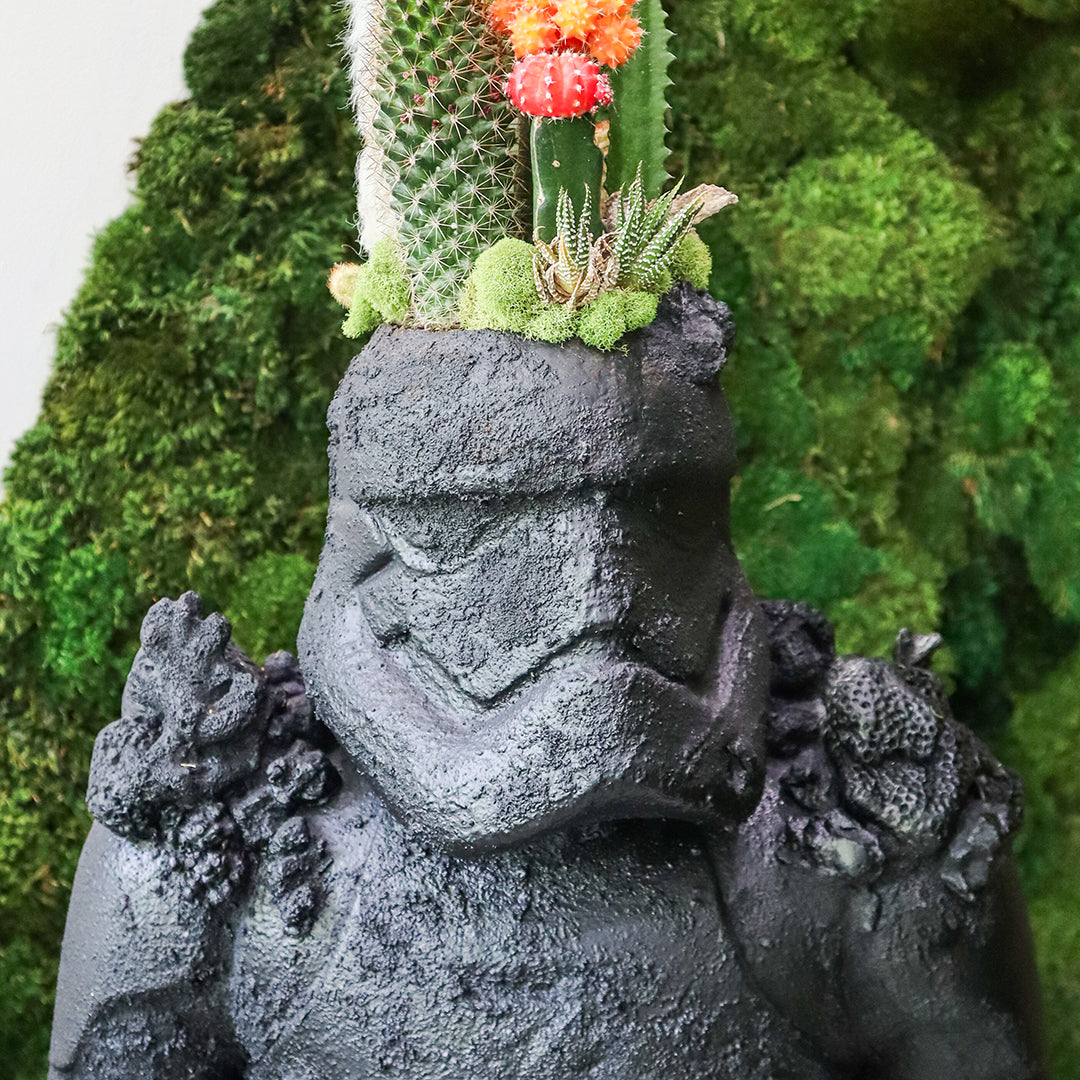 Julieta Teppa One of a Kind - Stormtrooper Statue Garden