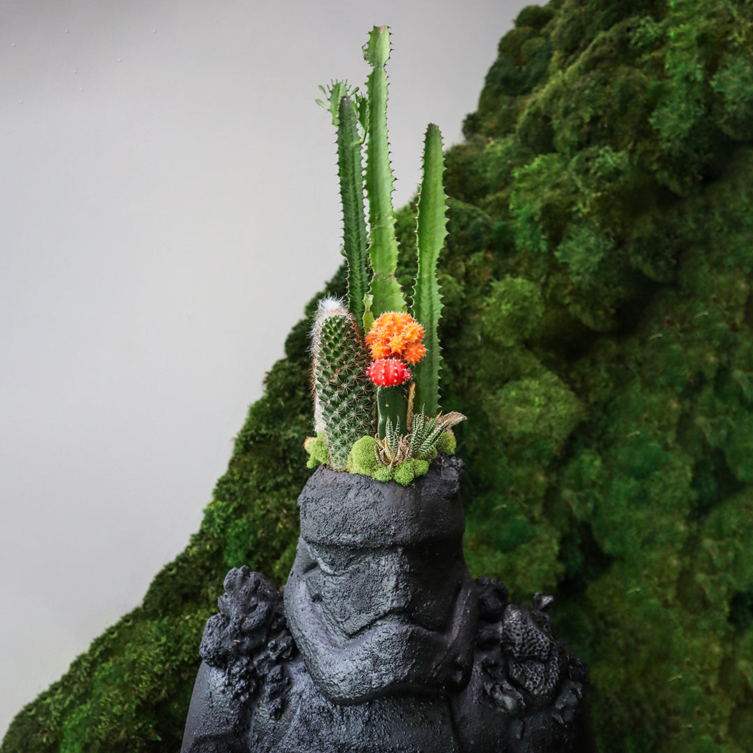 Julieta Teppa One of a Kind - Stormtrooper Statue Garden