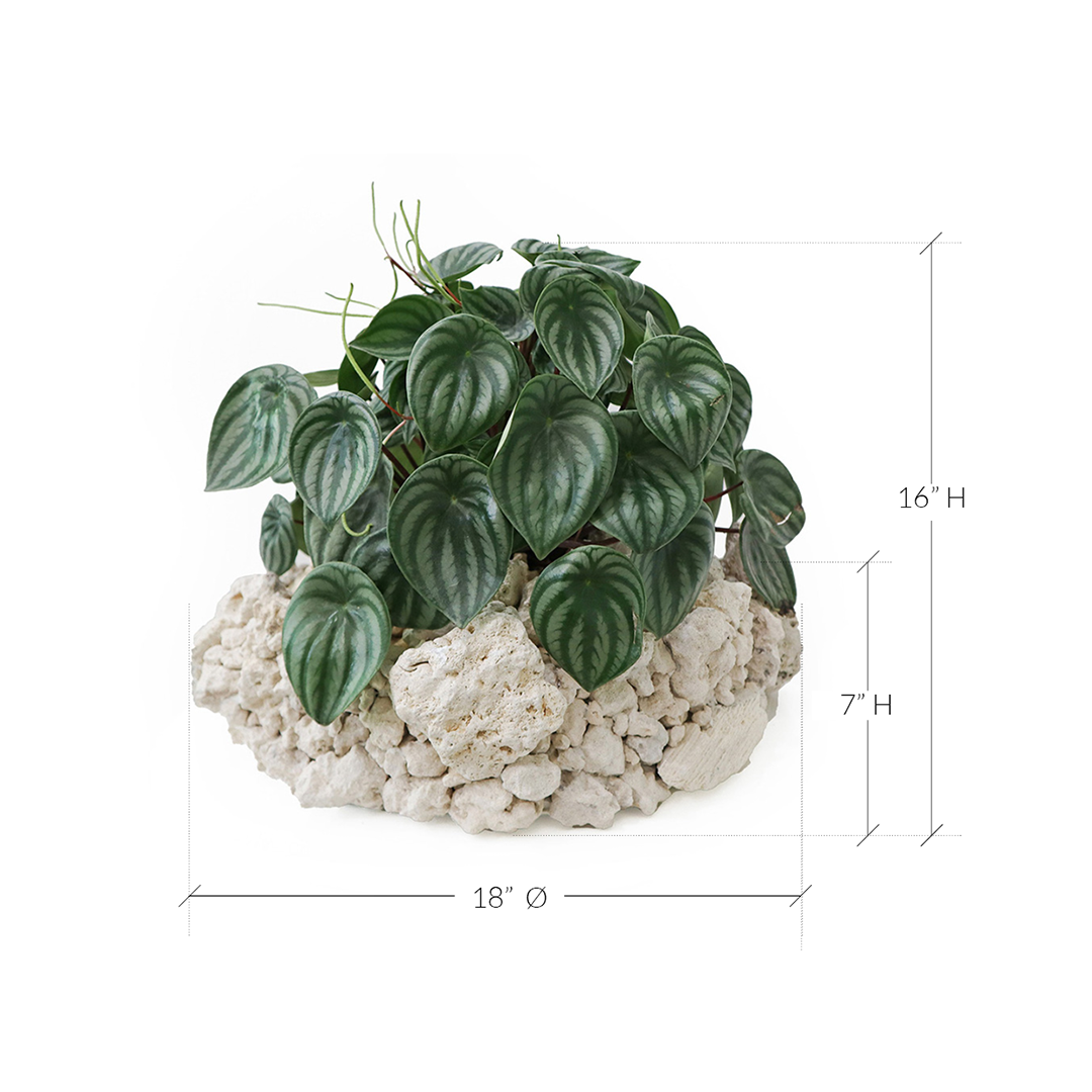 Keystone Round Large D16"-18"- Watermelon Garden Plant The Future