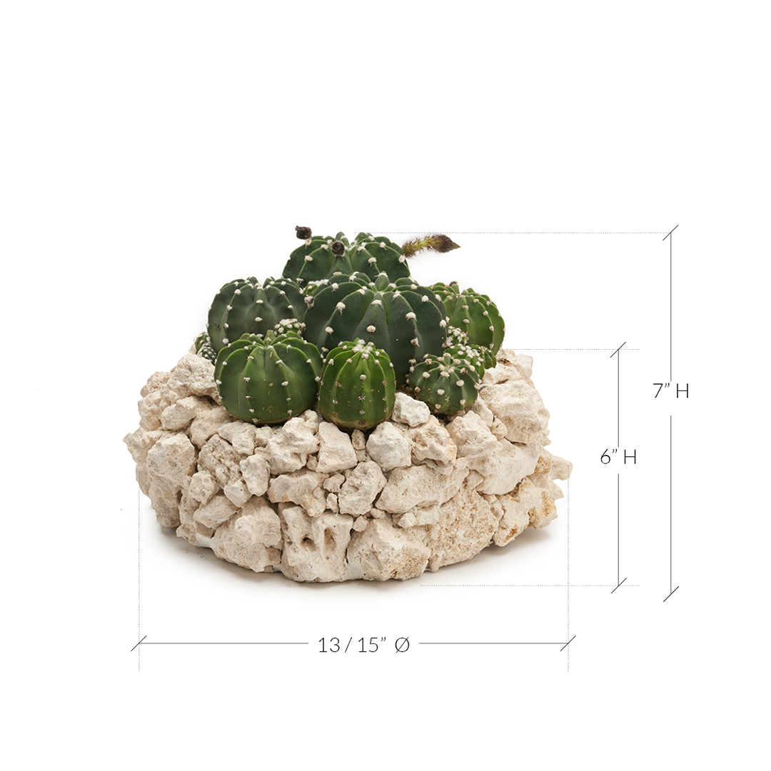 Keystone Round Medium Garden D13"-16" PLANT THE FUTURE