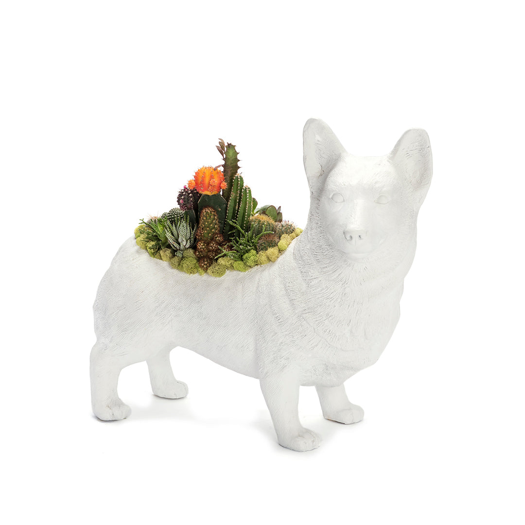 Life Size Animal - Corgi