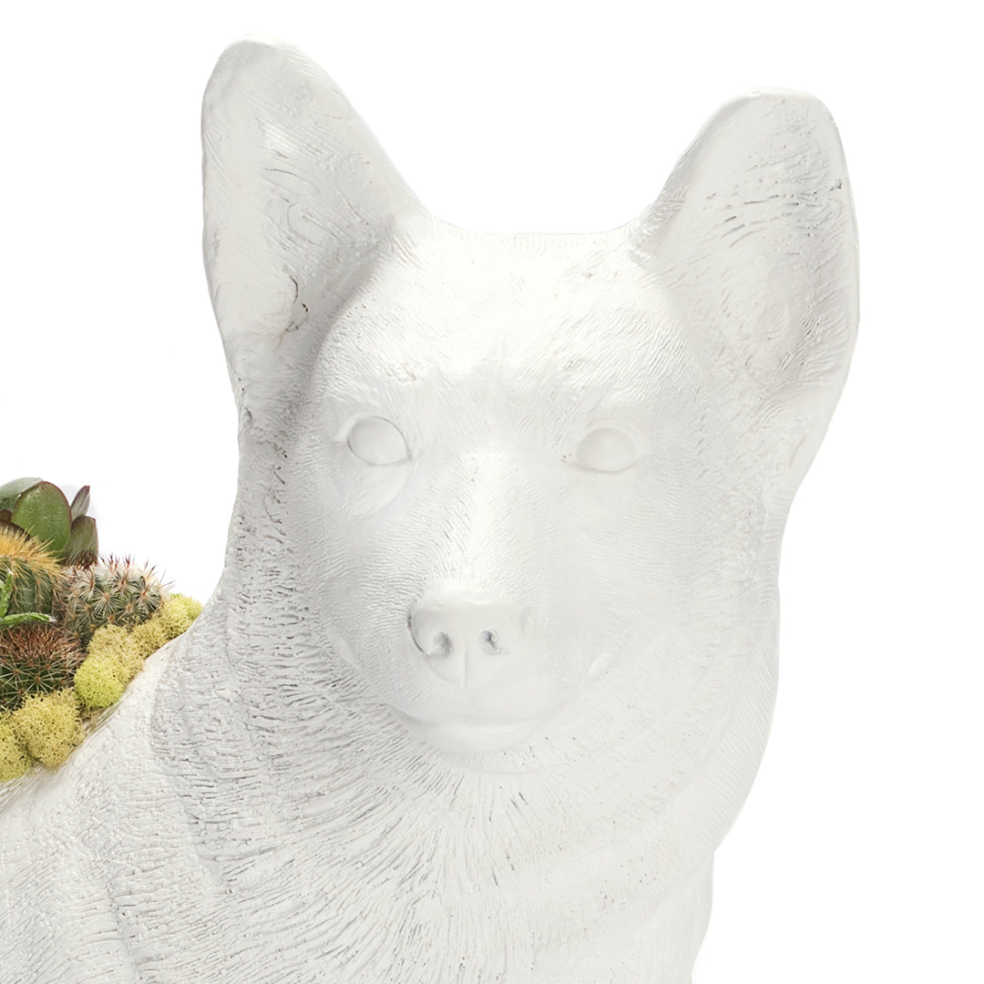 Life Size Animal - Corgi