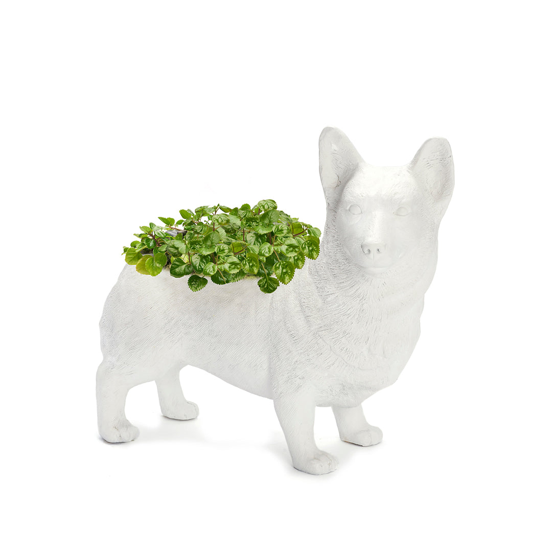 Life Size Animal - Corgi